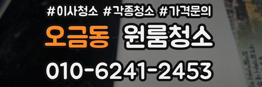 오금동 이사청소