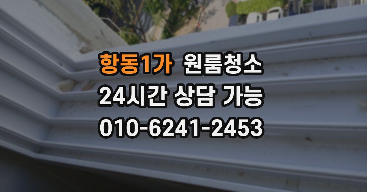 항동1가 입주청소