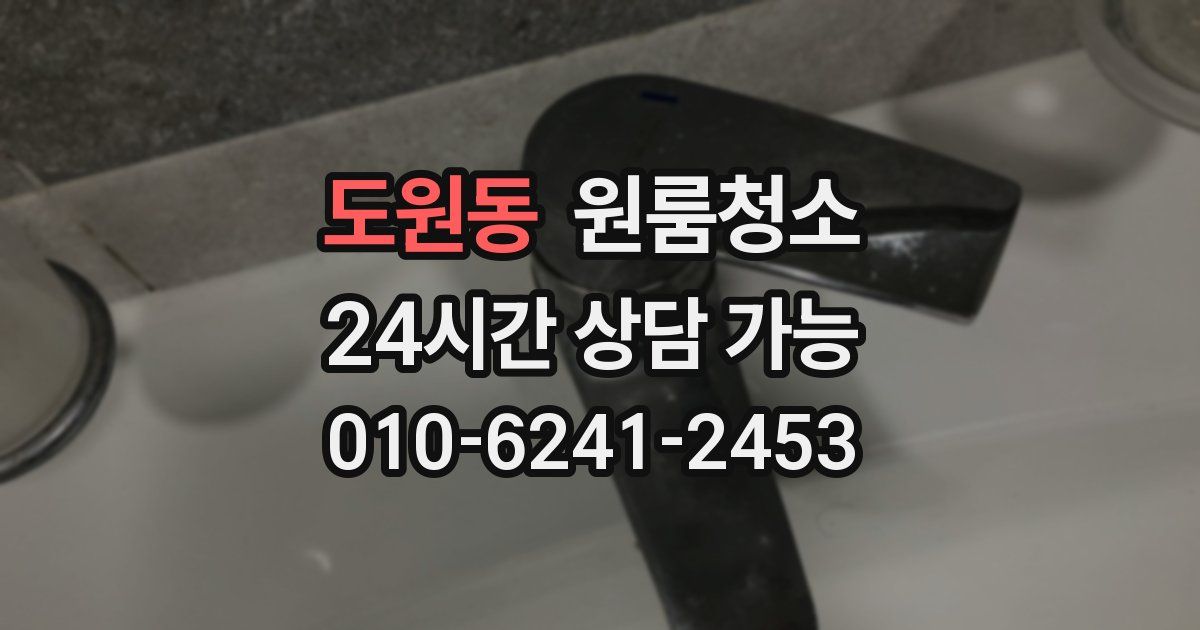 도원동 입주청소