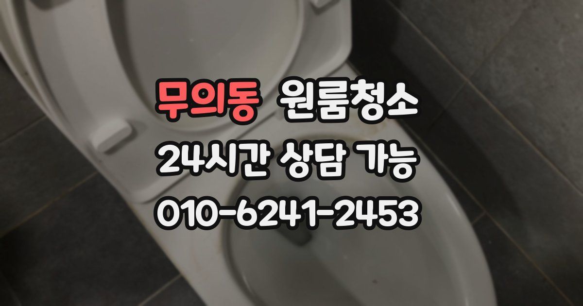 무의동 입주청소