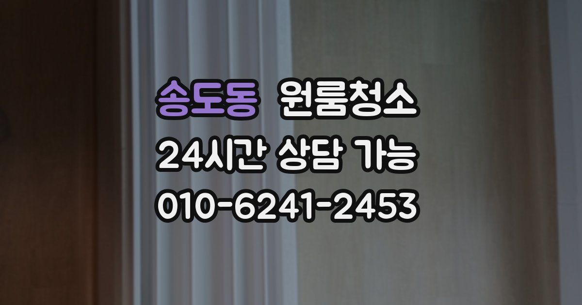 송도동 입주청소