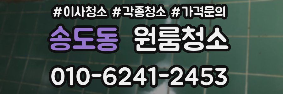 송도동 이사청소