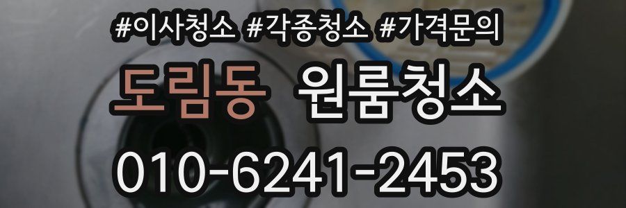 도림동 이사청소