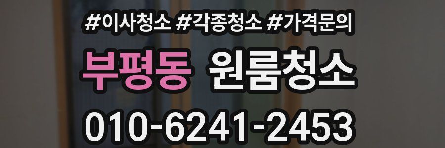 부평동 이사청소