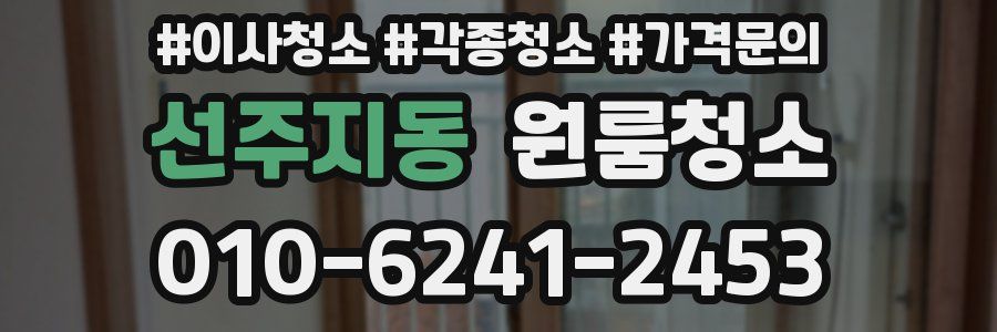 선주지동 이사청소