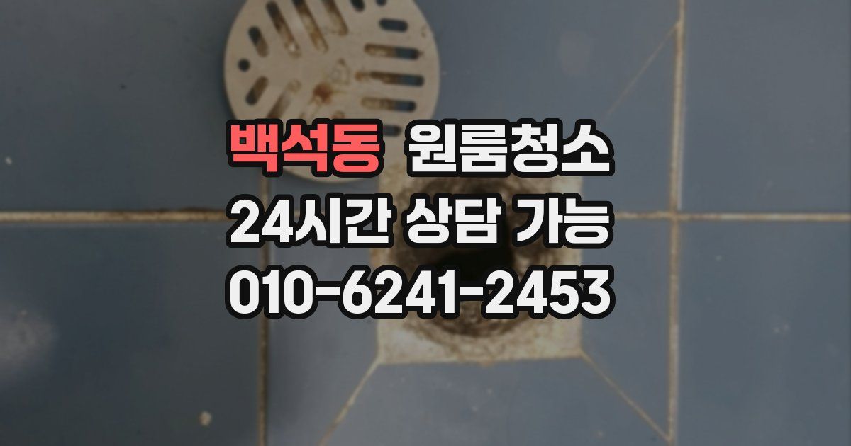 백석동 입주청소