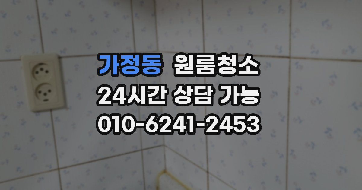 가정동 입주청소