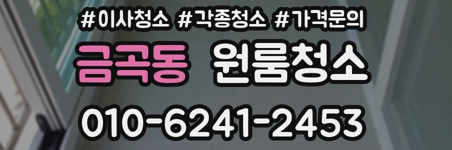 금곡동 이사청소