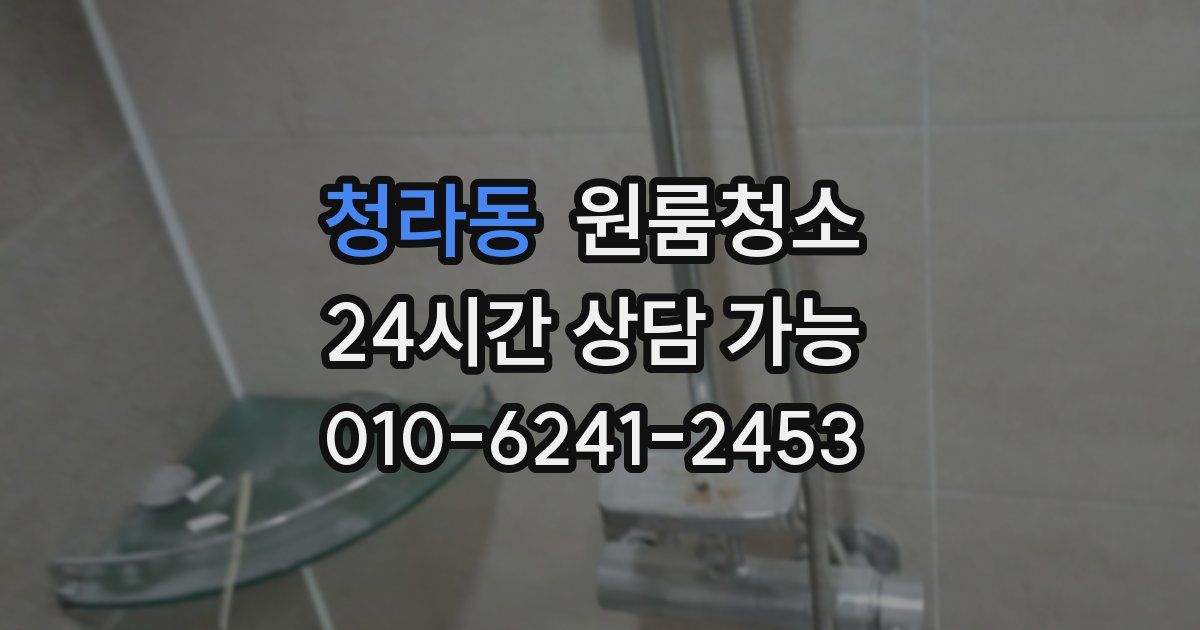 청라동 입주청소