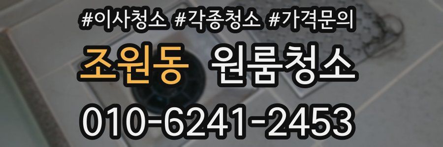 조원동 이사청소