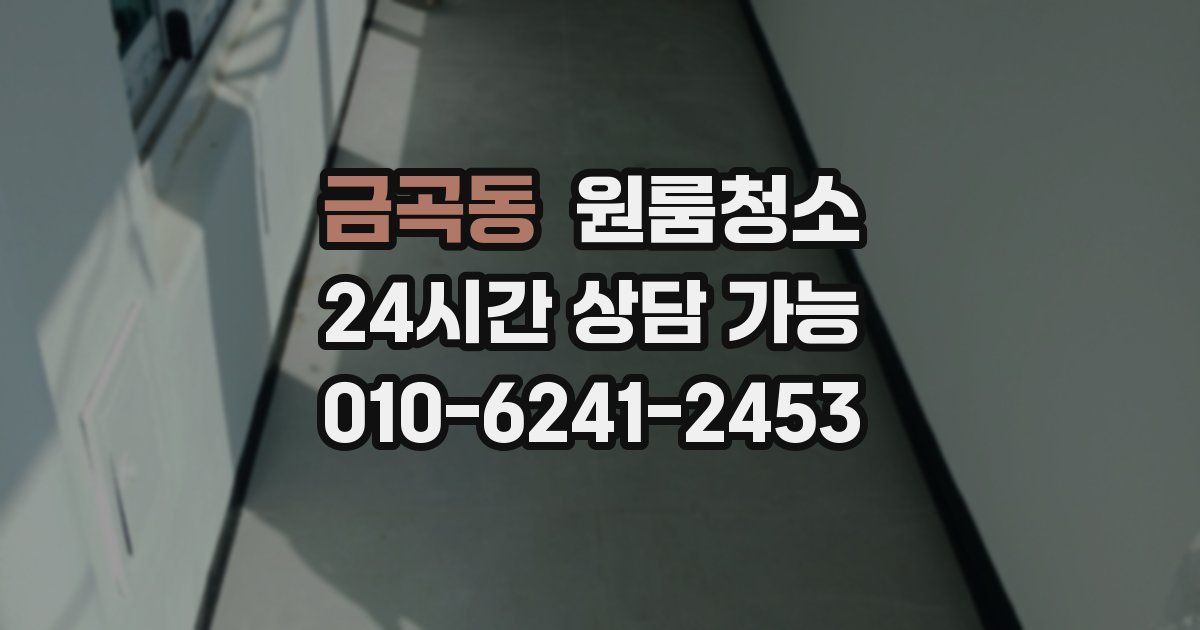 금곡동 입주청소