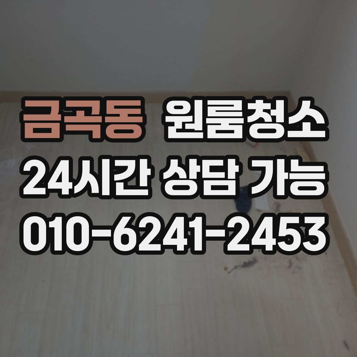 금곡동 원룸청소