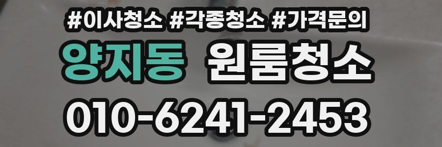 양지동 이사청소