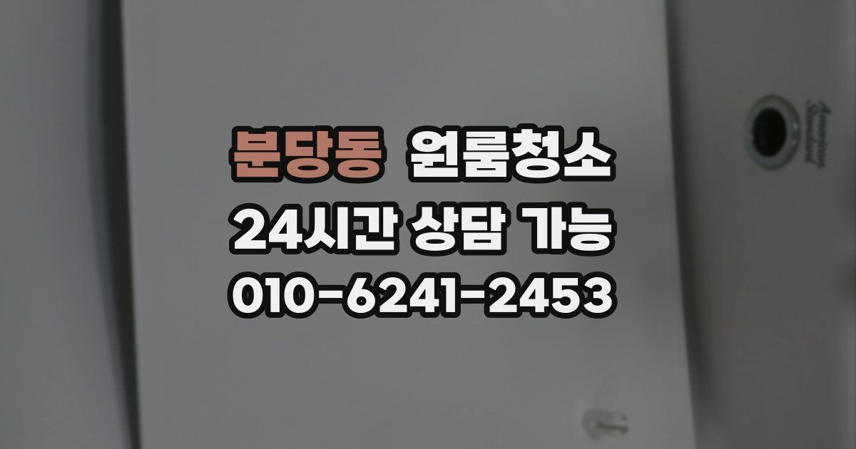 분당동 입주청소