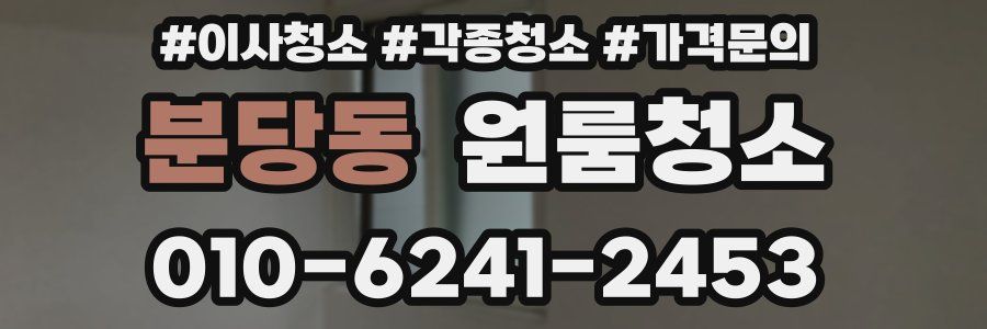 분당동 이사청소