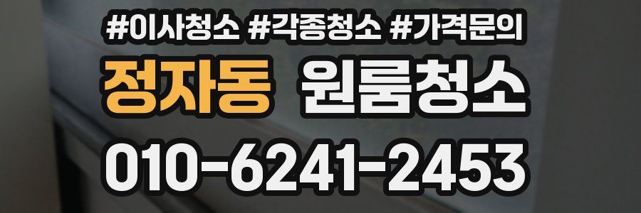 정자동 이사청소