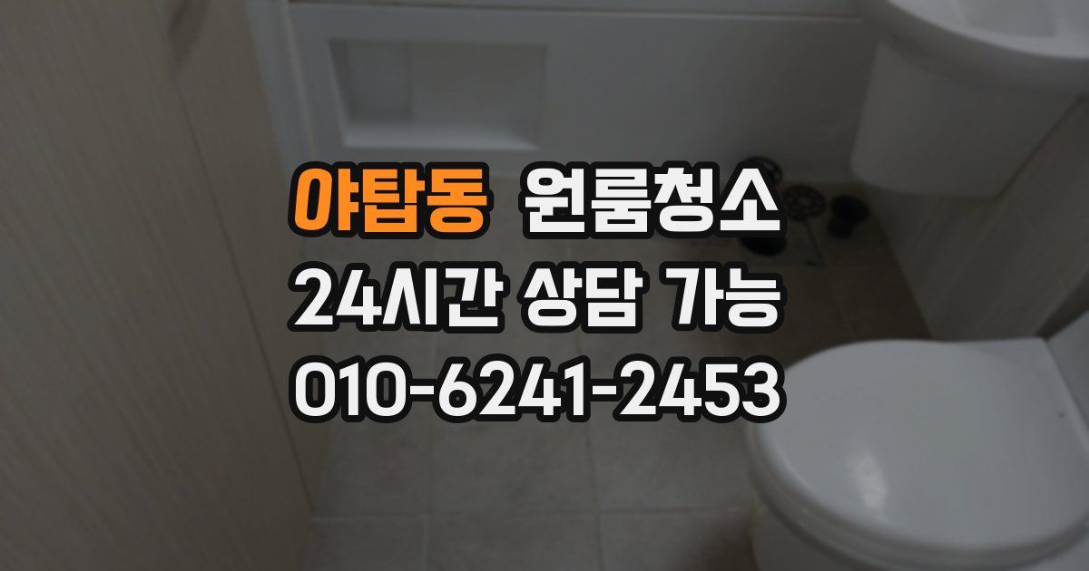 야탑동 입주청소