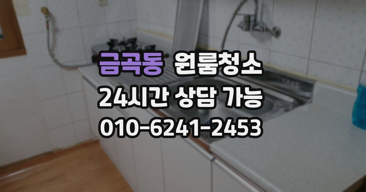 금곡동 입주청소