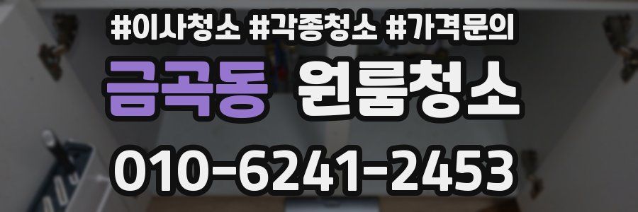 금곡동 이사청소