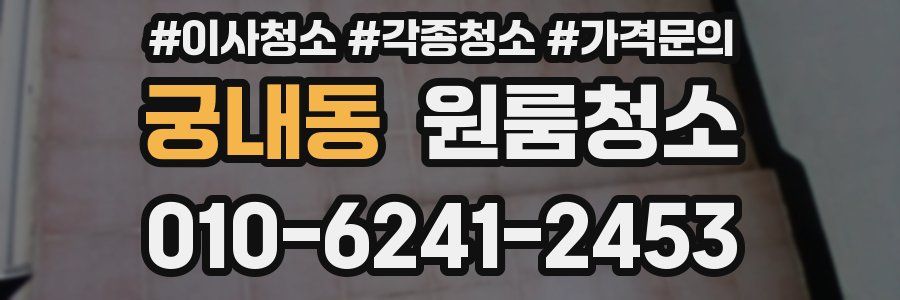 궁내동 이사청소