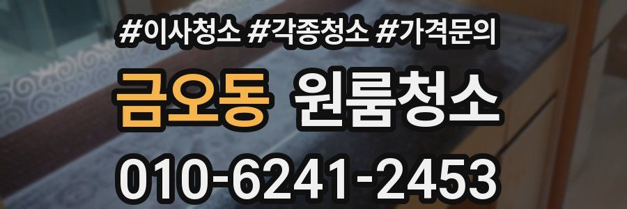 금오동 이사청소