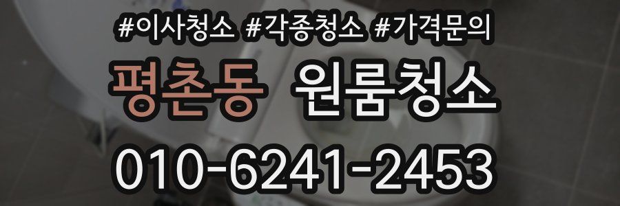 평촌동 이사청소