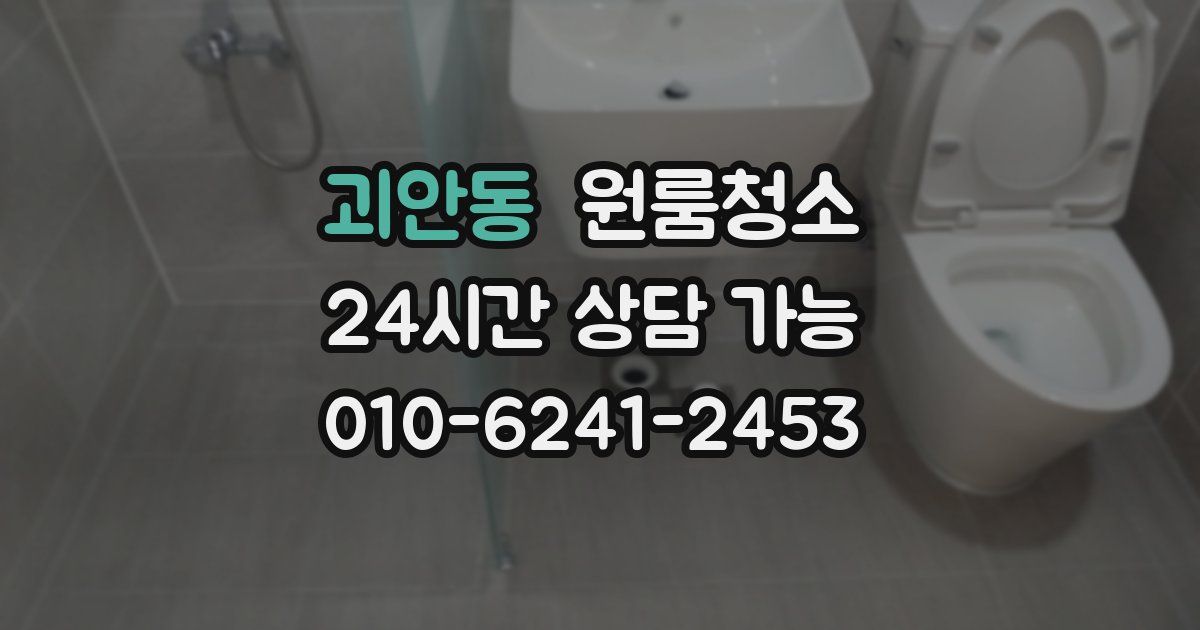 괴안동 입주청소