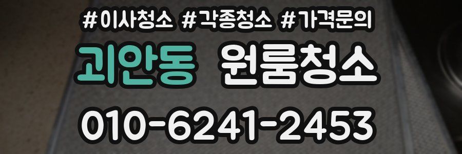 괴안동 이사청소