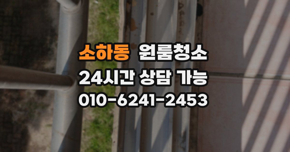 소하동 입주청소