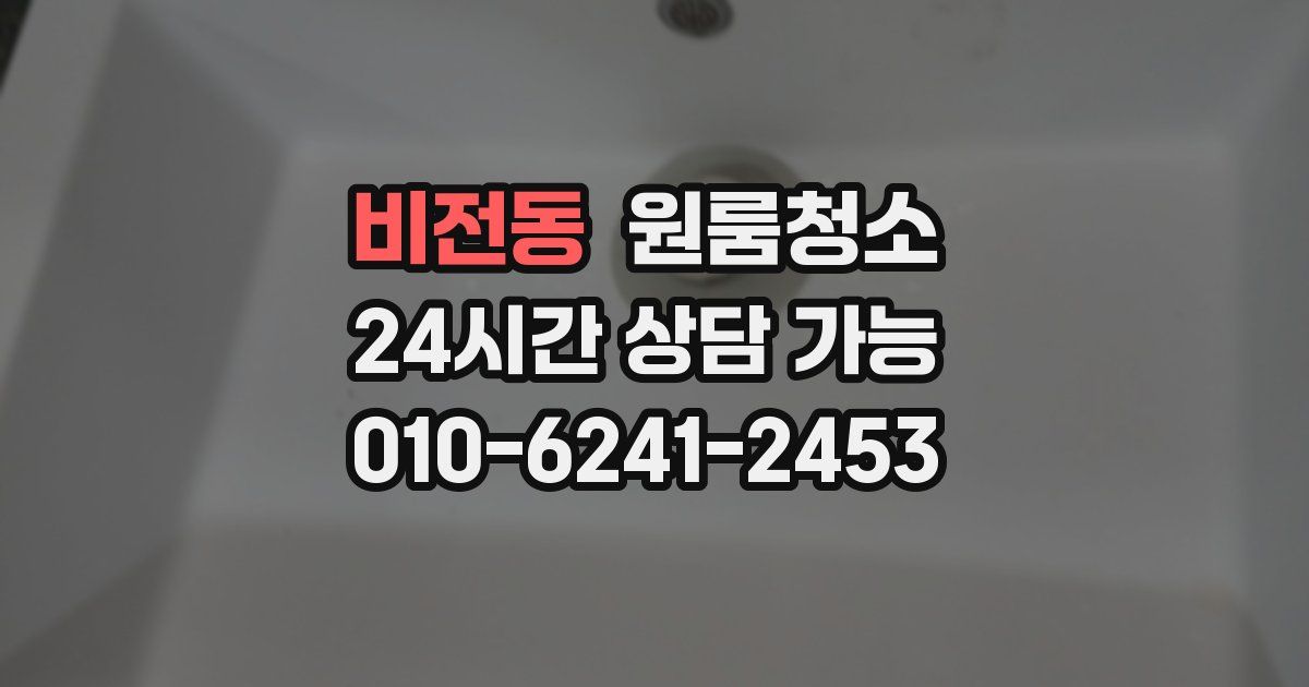 비전동 입주청소