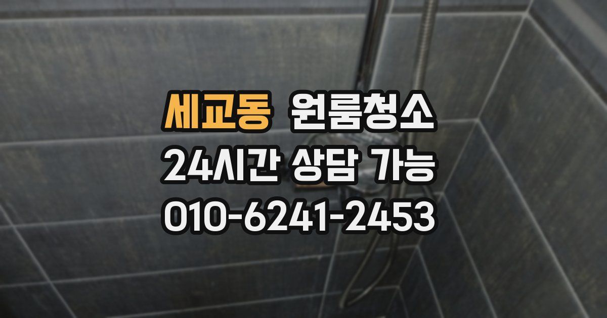 세교동 입주청소