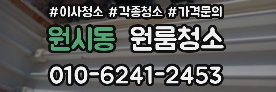 원시동 이사청소