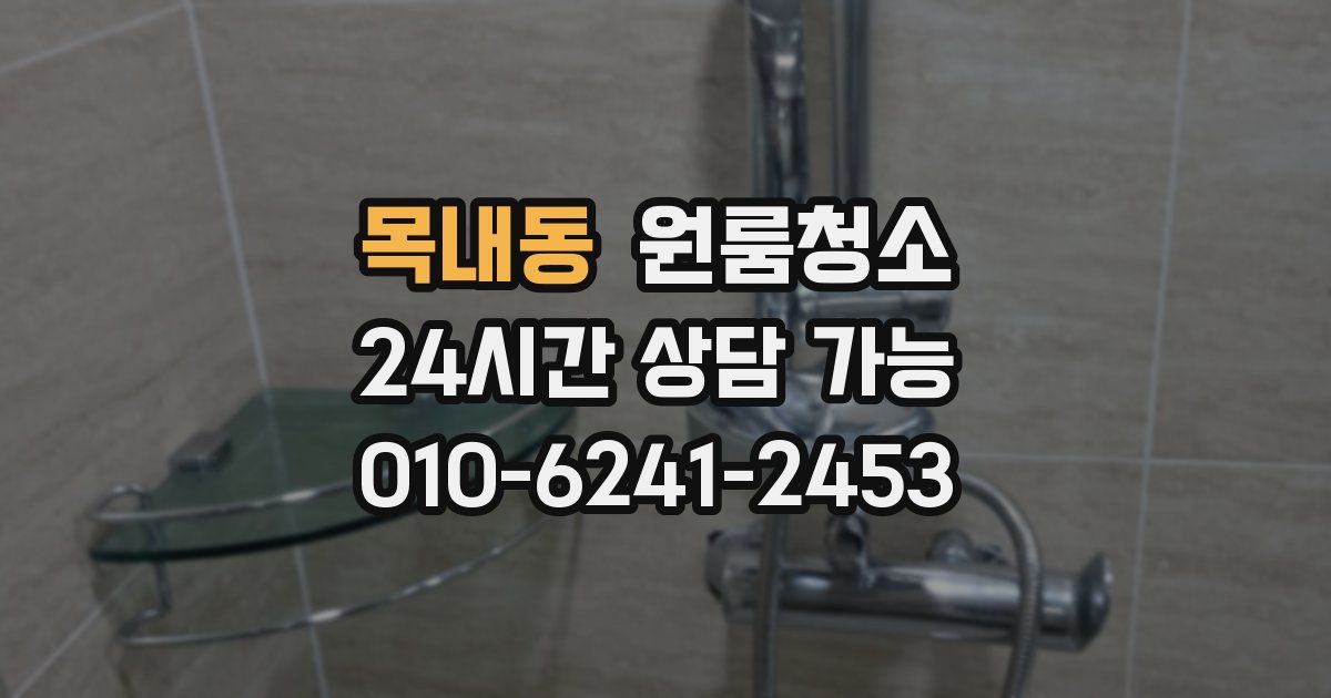 목내동 입주청소