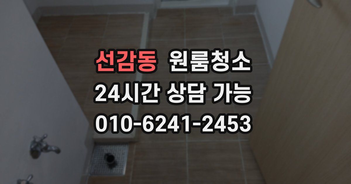 선감동 입주청소