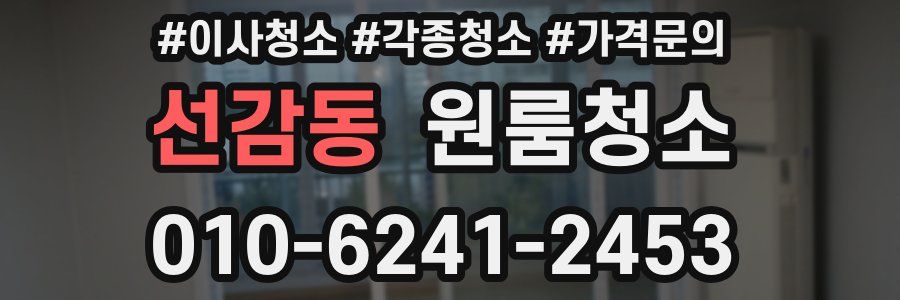 선감동 이사청소