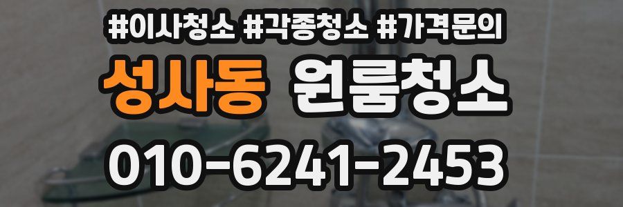 성사동 이사청소