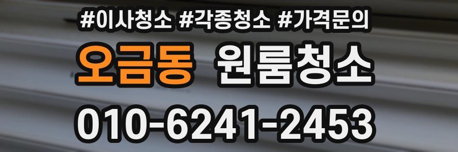 오금동 이사청소