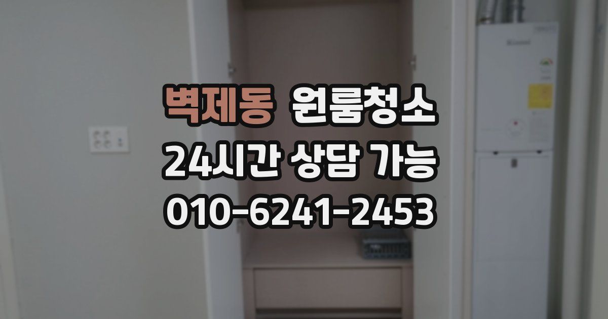 벽제동 입주청소