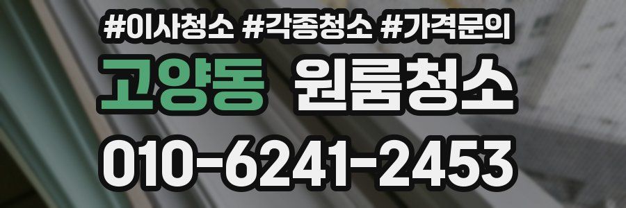 고양동 이사청소