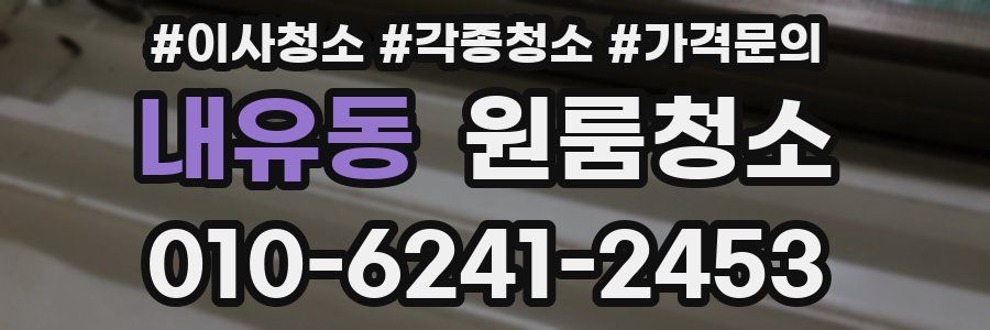 내유동 이사청소