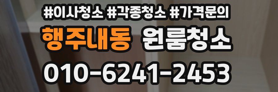 행주내동 이사청소