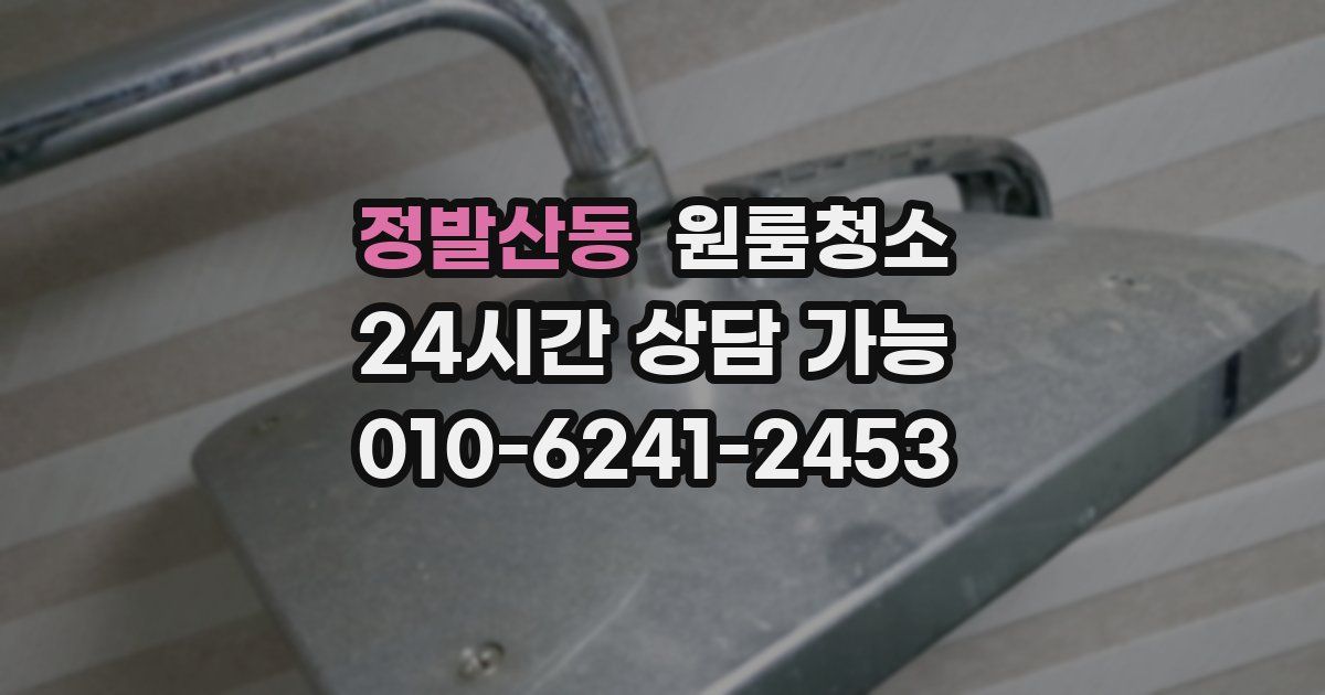 정발산동 입주청소