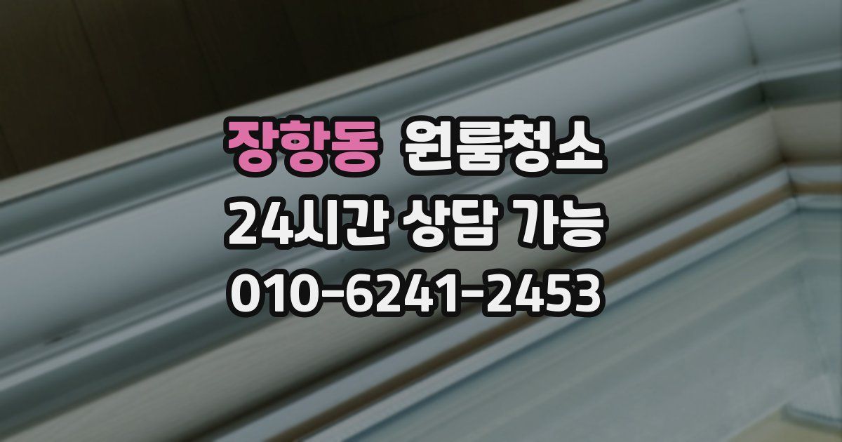 장항동 입주청소