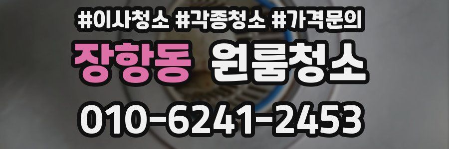 장항동 이사청소