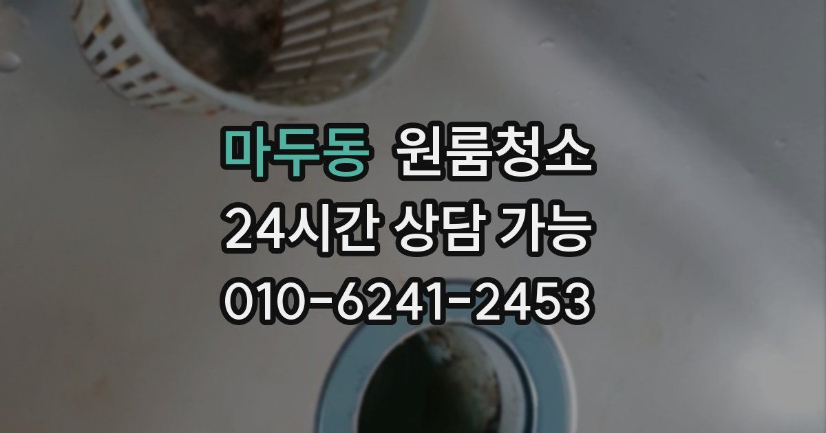 마두동 입주청소