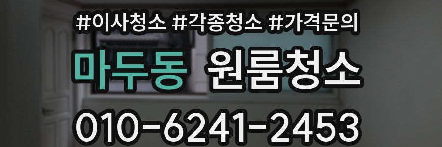 마두동 이사청소