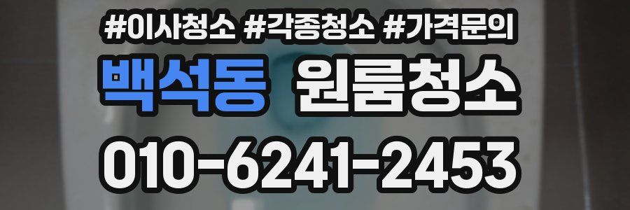 백석동 이사청소