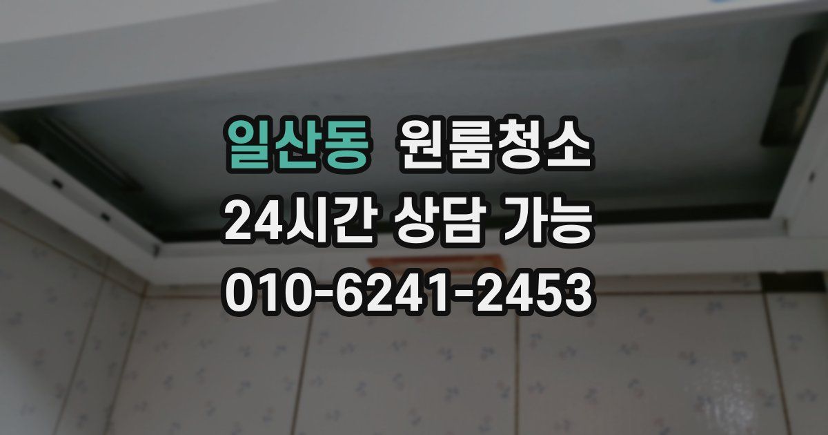 일산동 입주청소