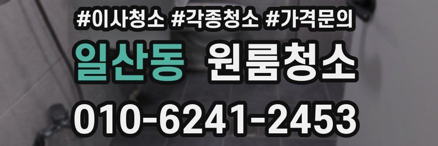 일산동 이사청소