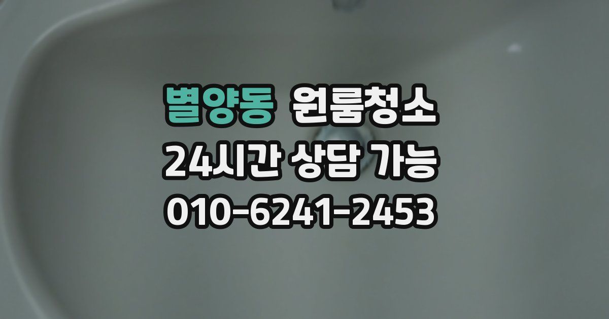 별양동 입주청소